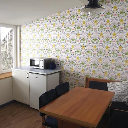 Les Camelias Apartment Le Mont-Dore Room photo
