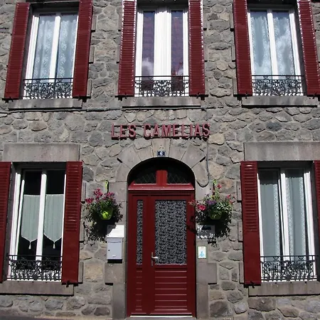 Les Camelias Apartment Le Mont-Dore Exterior photo