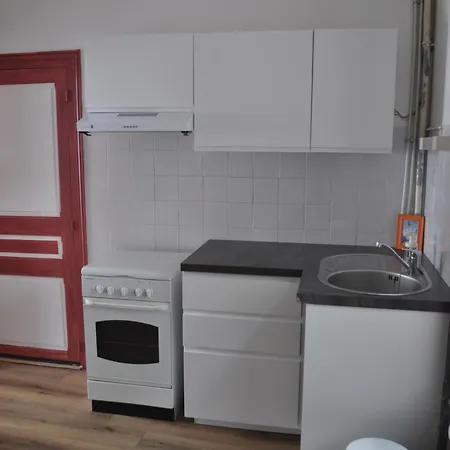 Les Camelias Apartment Le Mont-Dore Exterior photo