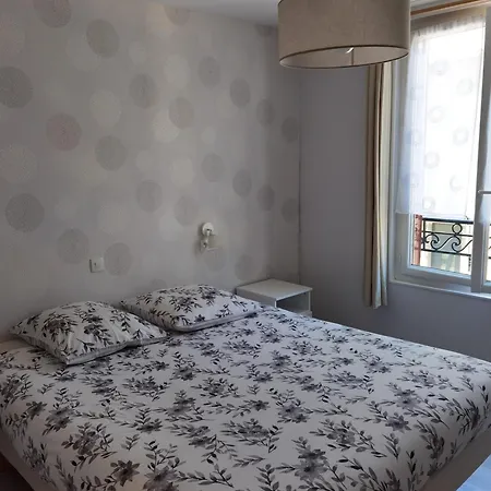Les Camelias Apartment Le Mont-Dore Exterior photo