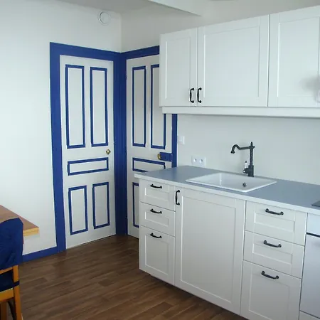 Les Camelias Apartment Le Mont-Dore Room photo