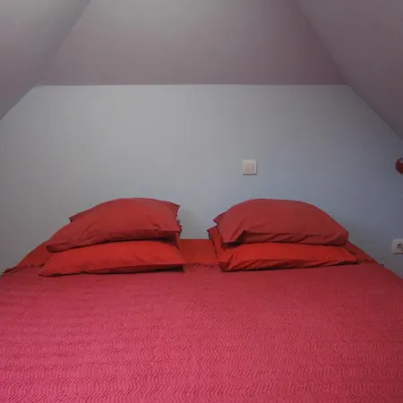 Les Camelias Apartment Le Mont-Dore Room photo