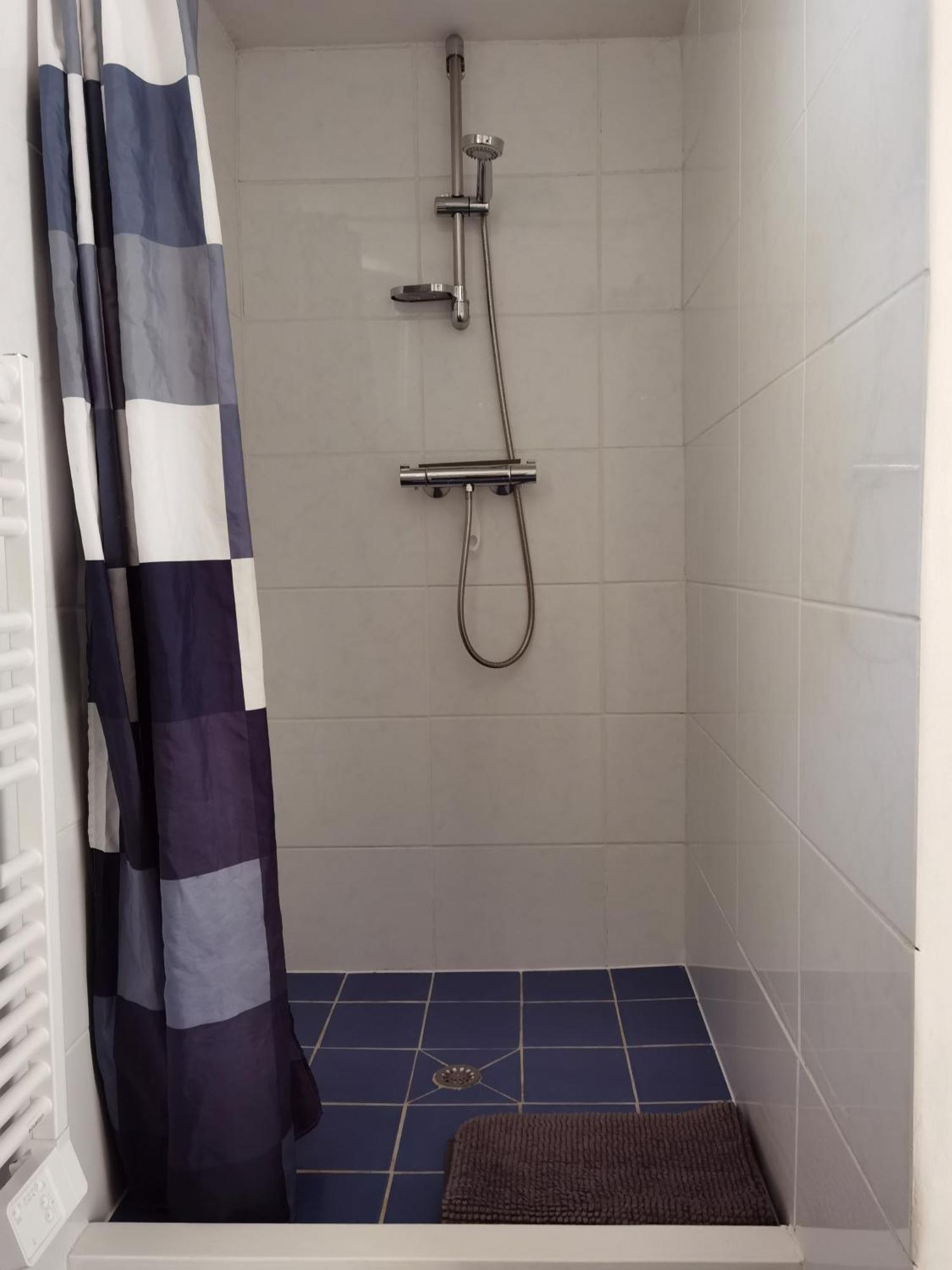 Les Camelias Apartment Le Mont-Dore