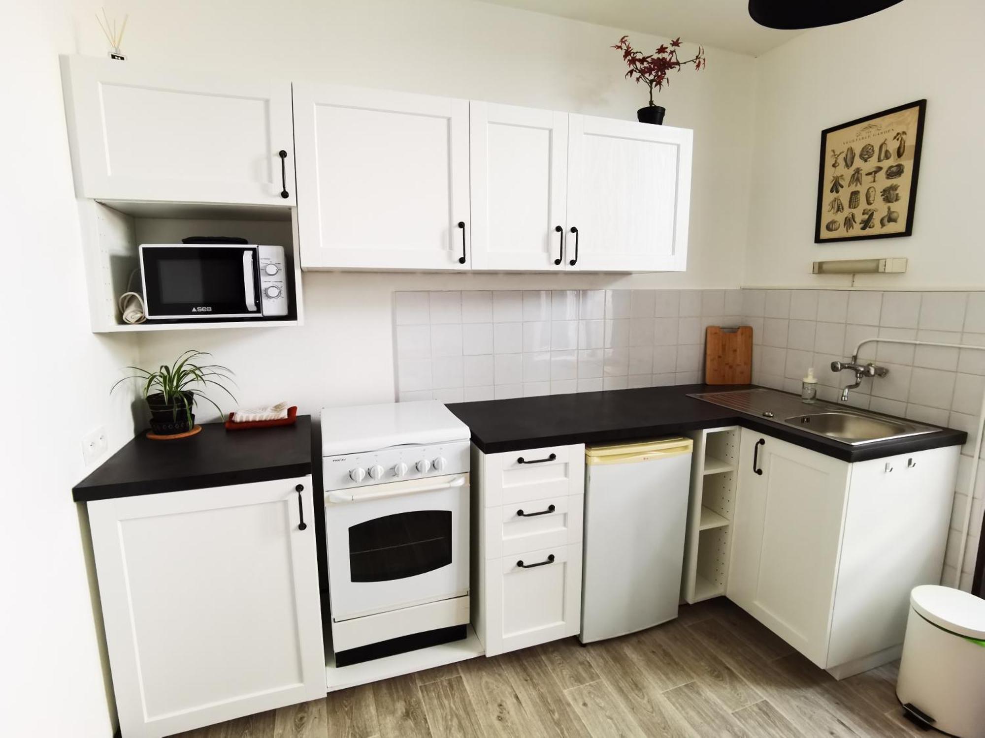 Apartment Les Camelias