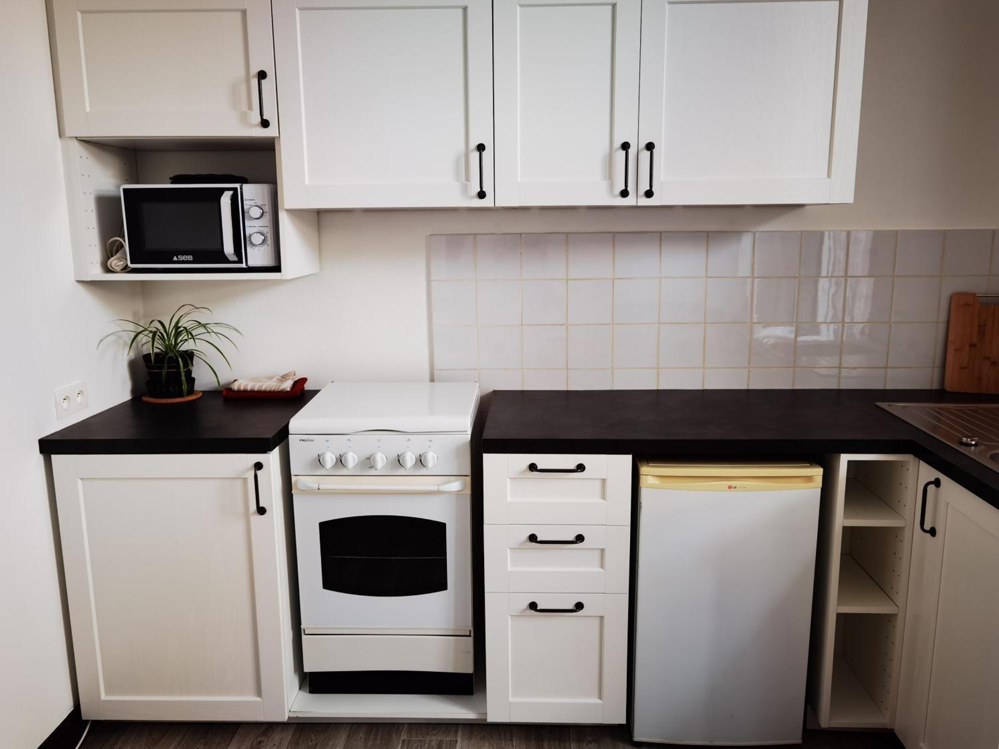 Apartment Les Camelias